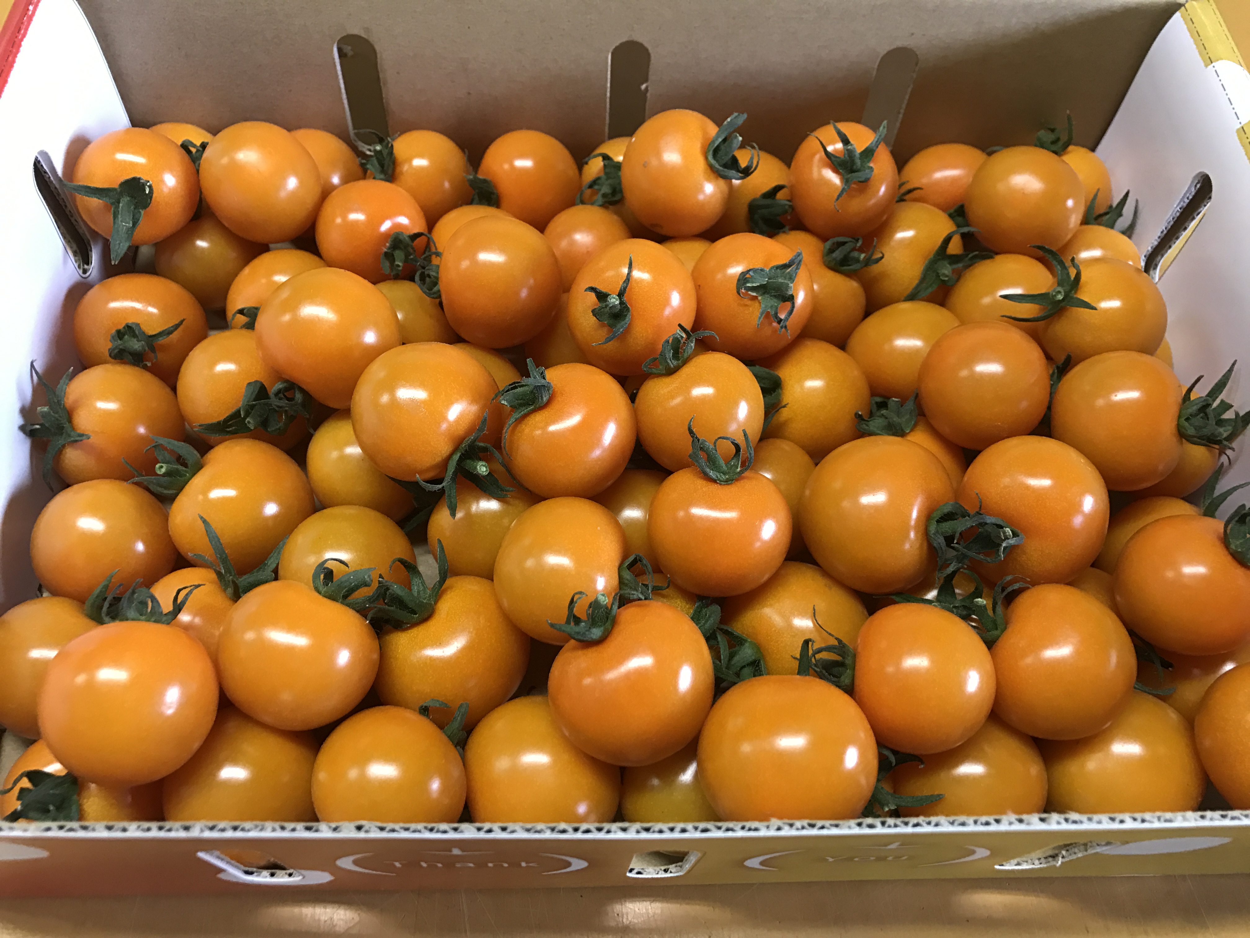 オレンジ千果（オレンジ）　1kg
